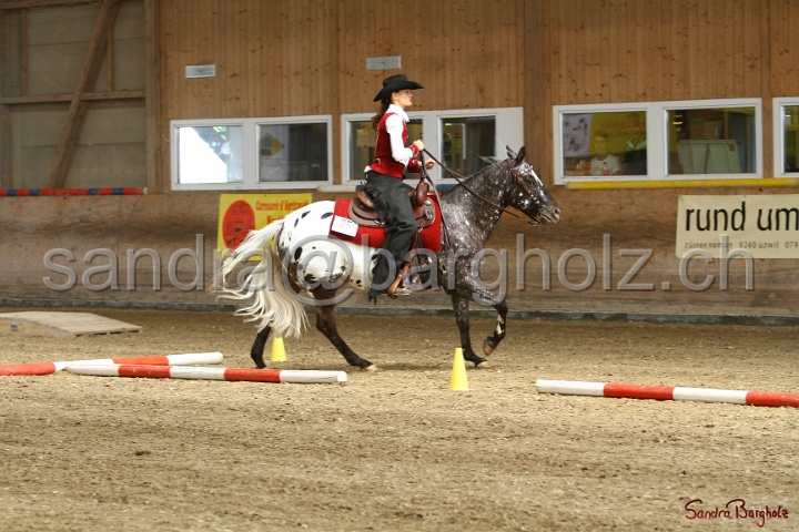 26-ApHC GT_026.jpg